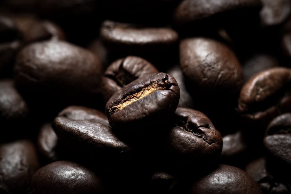 Arabica