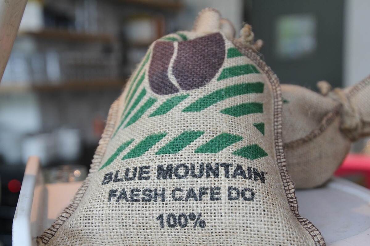 Blue Mountain Coffee