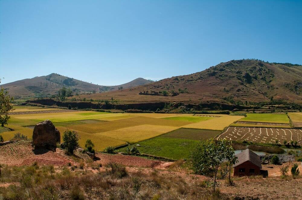 Farm-Madagaskar