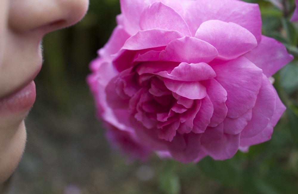 Florale Noten Aromaprofil