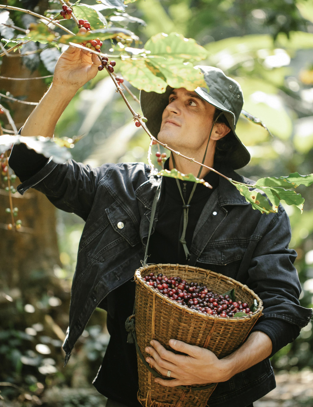 Nachhaltiger Anbau von Kaffee